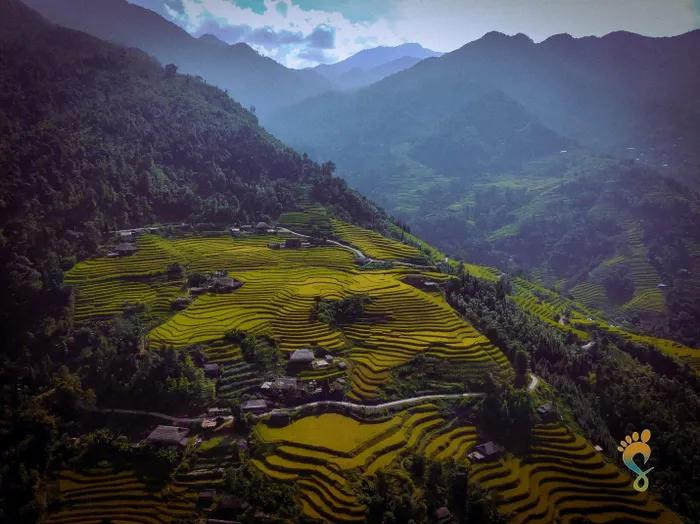 Outre les champs en terrasses, cet endroit est également célèbre pour le thé San Tuyet, cultivé à partir d’arbres à thé centenaires, qui a une saveur délicieuse et rafraîchissante. Outre les champs en terrasses, cet endroit est également célèbre pour le thé San Tuyet, cultivé à partir d’arbres à thé centenaires, qui a une saveur délicieuse et rafraîchissante.