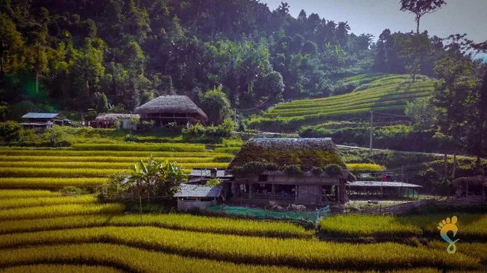 Vous pouvez donc choisir de vous rendre à Xa Phin à ces deux périodes de l’année pour admirer la beauté des champs en terrasses. Vous pouvez donc choisir de vous rendre à Xa Phin à ces deux périodes de l’année pour admirer la beauté des champs en terrasses.