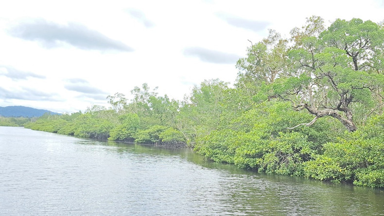 Elle abrite de nombreux arbres classés comme des espèces rares du Vietnam. Elle abrite de nombreux arbres classés comme des espèces rares du Vietnam.