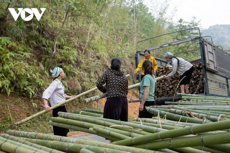 Le district de Nguyên Binh compte jusqu'à 8 ethnies vivant ensemble. Le hameau Ban Phuong de la commune de Thành Công compte près de 60 ménages avec plus de 200 personnes, dont la plupart sont des Dao Tiên et des Dao Do. Le district de Nguyên Binh compte jusqu'à 8 ethnies vivant ensemble. Le hameau Ban Phuong de la commune de Thành Công compte près de 60 ménages avec plus de 200 personnes, dont la plupart sont des Dao Tiên et des Dao Do.