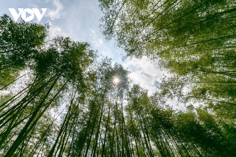 Grâce à la situation géographique particulière, l'air y est frais toute l'année. Grâce à la situation géographique particulière, l'air y est frais toute l'année.