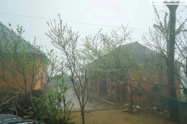 Chaque maison a généralement une porte au milieu et une à deux fenêtres sur le côté, ce qui permet à la maison de rester chaude en hiver et fraîche en été. En face de la maison, à travers une cour pavée, se trouve la cuisine, entourée de pêchers, de poiriers et de quelques fleurs. Photo : phunuvietnam.vn