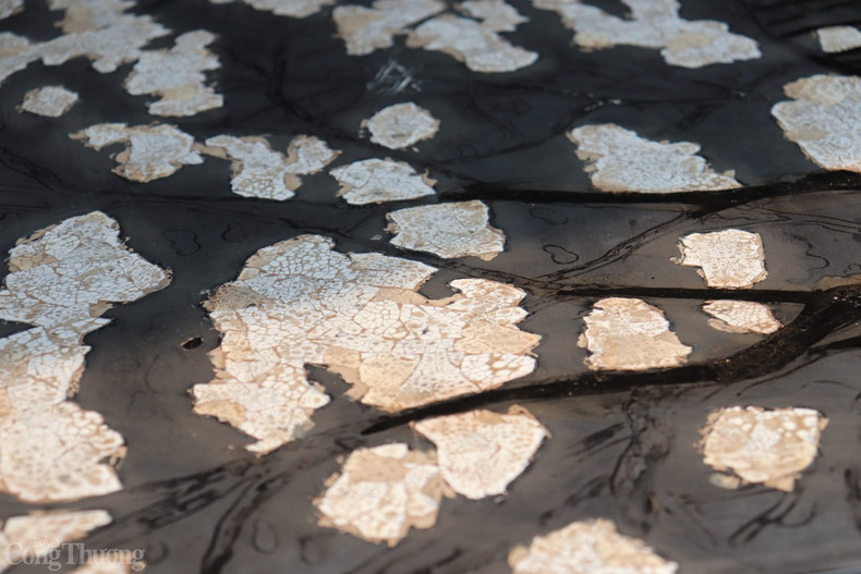 Également au cours de cette période, Dinh Van Thành - professeur à l’École des Beaux-Arts d’Indochine, originaire du village de Ha Thai - a introduit l’artisanat de la laque pour l’enseigner aux habitants du village. Grâce à cela, bien que l’artisanat de la laque soit né plus tard que d’autres professions traditionnelles, il a élevé l’artisanat de la laque au rang d’art en raison de la minutie et de la sophistication du processus créatif de fabrication du produit.