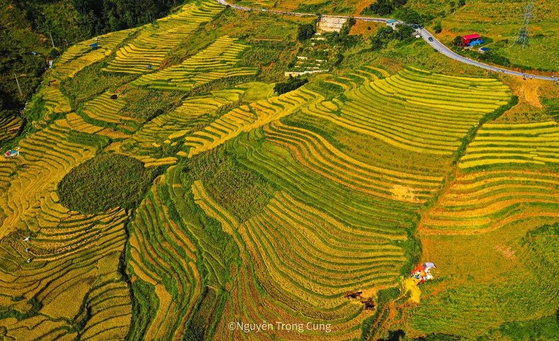 La vallée des champs en terrasses du hameau de Y Linh Ho est majestueuse à cette époque. La vallée des champs en terrasses du hameau de Y Linh Ho est majestueuse à cette époque.