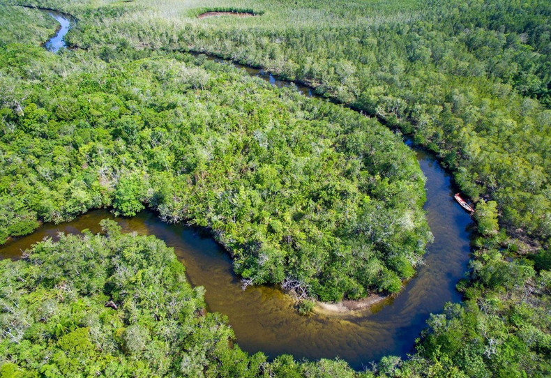 Vue d'en haut, la rivière Rach Tràm ressemble à un serpent géant au milieu de la forêt vierge. Vue d'en haut, la rivière Rach Tràm ressemble à un serpent géant au milieu de la forêt vierge.
