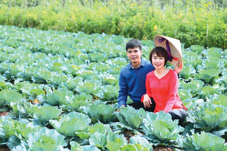 Nguyên Duc Chinh et sa femme dans leur ferme GenXanh. Photo : baoquocte.vn