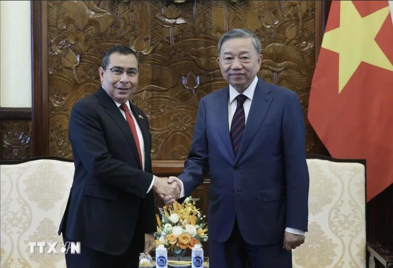 Le président Tô Lâm (droite) et l'ambassadeur panaméen Eligio Alberto Salas. Photo : VNA. Le président Tô Lâm (droite) et l'ambassadeur panaméen Eligio Alberto Salas. Photo : VNA.