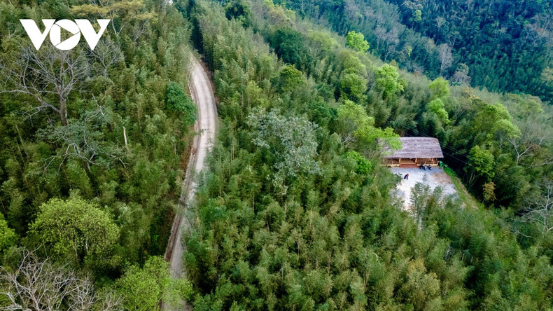 La forêt de bambous de Ban Phuong a une superficie de plus de 30 hectares, à seulement 40 km environ du chef-lieu de Nguyen Binh, avec les transports pratiques. La forêt de bambous de Ban Phuong a une superficie de plus de 30 hectares, à seulement 40 km environ du chef-lieu de Nguyen Binh, avec les transports pratiques.
