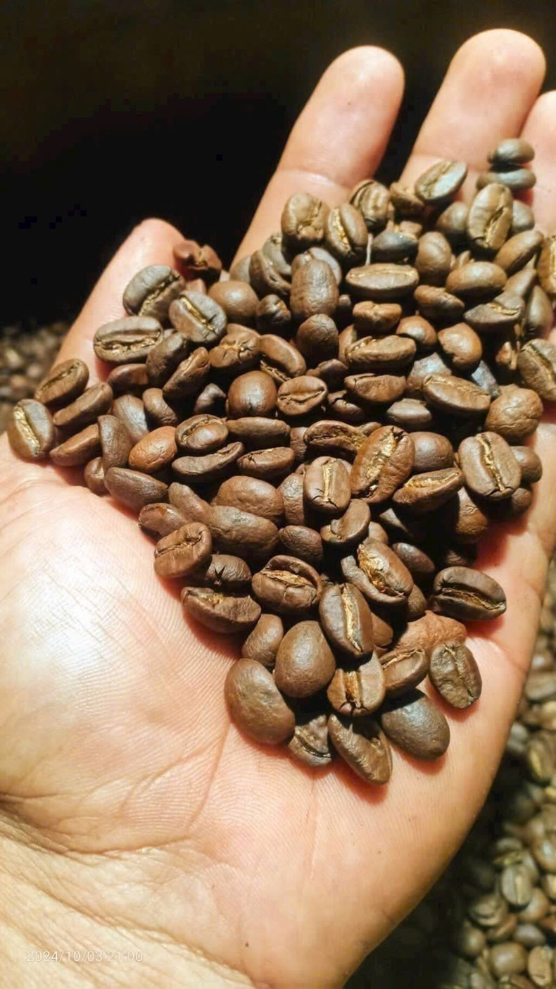 Le café de Dak Lak affirme de plus en plus sa marque et sa position sur le marché international. Photo : VNA/CVN