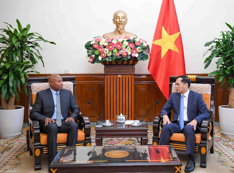 Le vice-Premier ministre et ministre des Affaires étrangères Bui Thanh Son a reçu le vice-ministre tanzanien des Affaires étrangères et de la Coopération est-africaine Cosato David Chumi au siège du ministère des Affaires étrangères, le 3 décembre 2024. Photo : baoquocte.vn