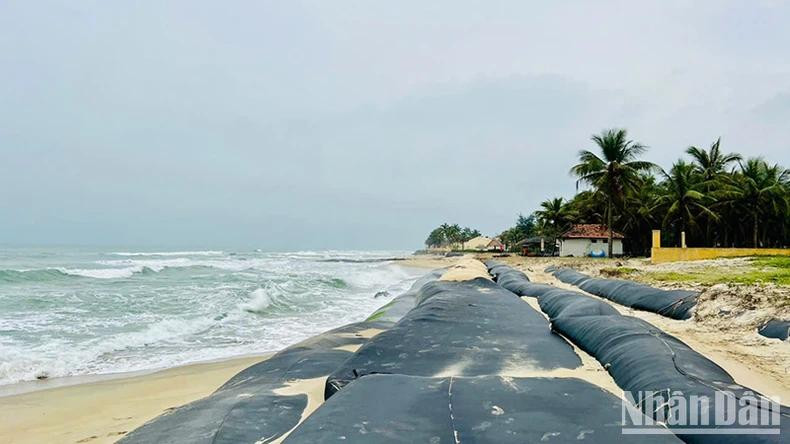 La plage de Hoi An, reconnue comme la plus belle plage d'Asie, subit une grave érosion depuis 2014, perdant ses plages et endommageant les infrastructures le long de la côte. Photo : NDEL. La plage de Hoi An, reconnue comme la plus belle plage d'Asie, subit une grave érosion depuis 2014, perdant ses plages et endommageant les infrastructures le long de la côte. Photo : NDEL.