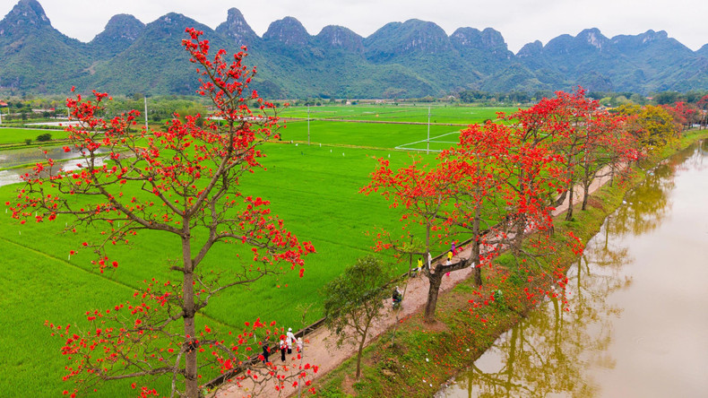 Le district de My Duc est situé à plus de 50 km du centre de la capitale Hanoi, le long de la route nationale 21B, à la frontière des provinces de Hoa Binh et de Ha Nam, avec deux rivières qui le traversent, la rivière Day et la rivière My Ha.
