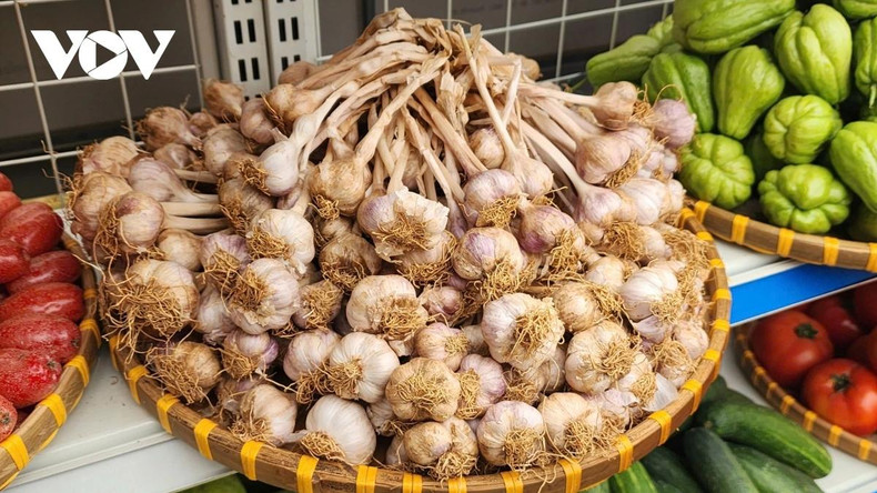 De l'ail fraîchement récolté… De l'ail fraîchement récolté…