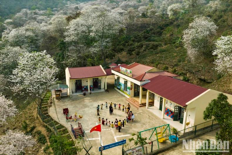 Une école située au milieu d'une forêt de bauhinia