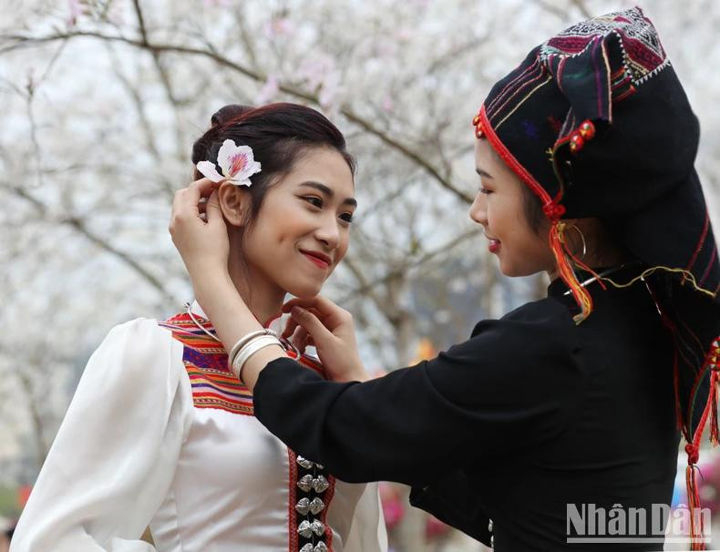 Les fleurs bauhinia s’ajoutent à la beauté gracieuse des filles ethniques Thai