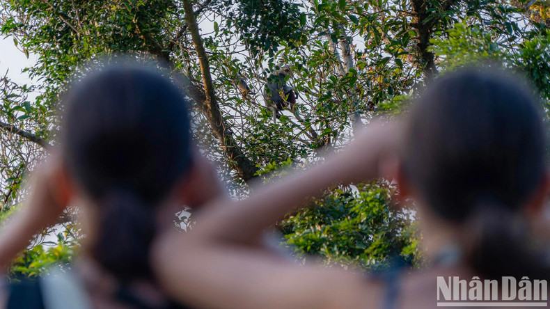 De nombreuses « familles de doucs à pattes rouges » se sont habituées à la présence de visiteurs venus de loin.