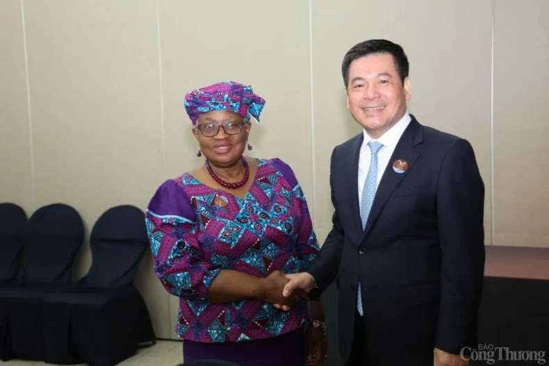 Le ministre Nguyen Hong Dien (à droite) et la directrice générale de l’OMC, Ngozi Okonjo-Iweala. Photo: baocongthuong Le ministre Nguyen Hong Dien (à droite) et la directrice générale de l’OMC, Ngozi Okonjo-Iweala. Photo: baocongthuong