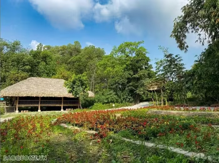 Le village subvient à 70 % de ses besoins alimentaires quotidiens avec des légumes, des fruits, ainsi que l'élevage de porcs, volailles et poissons. Photo: baoquocte Le village subvient à 70 % de ses besoins alimentaires quotidiens avec des légumes, des fruits, ainsi que l'élevage de porcs, volailles et poissons. Photo: baoquocte