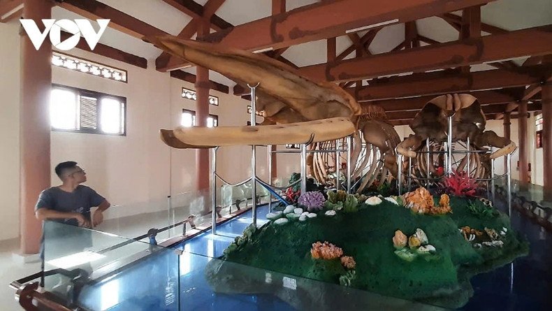 Le squelette de baleine de 22 m au sanctuaire Tân (hameau Đông An Vĩnh) est une curiosité majeure de l’île. Photo: VOV Le squelette de baleine de 22 m au sanctuaire Tân (hameau Đông An Vĩnh) est une curiosité majeure de l’île. Photo: VOV