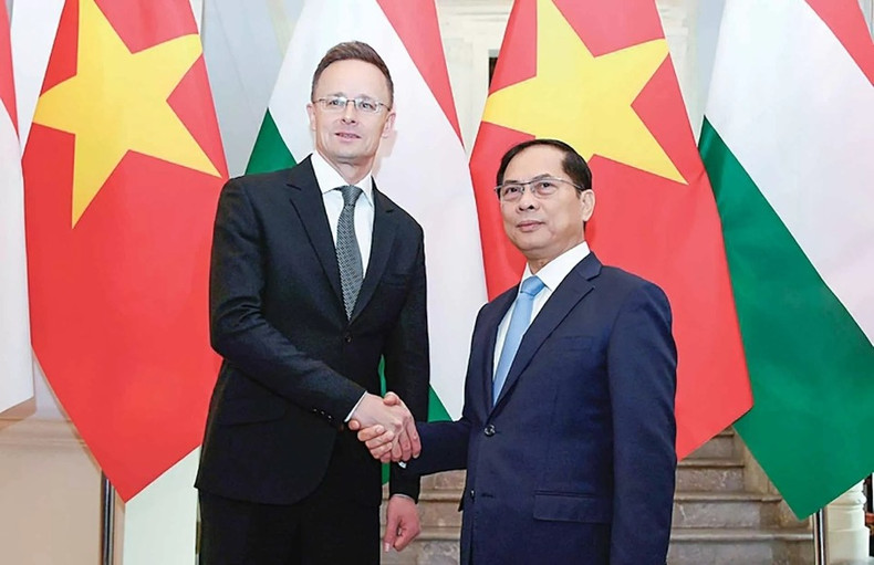 Le vice-Premier ministre, ministre vietnamien des Affaires étrangères Bui Thanh Son, accueille le ministre hongrois Szijjarto Peter le 19 mars. Photo : Hai Minh. Le vice-Premier ministre, ministre vietnamien des Affaires étrangères Bui Thanh Son, accueille le ministre hongrois Szijjarto Peter le 19 mars. Photo : Hai Minh.