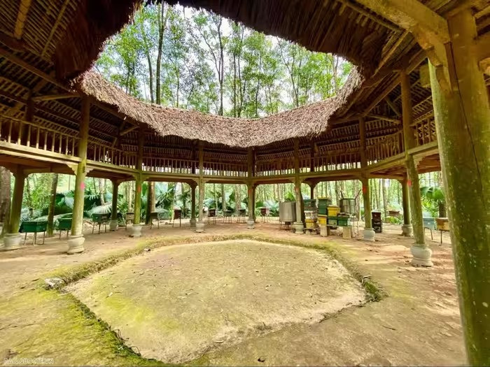 Aujourd'hui, la Maison des abeilles France-Tày compte 30 ruches, situées au sommet de la colline la plus haute du village, un lieu considéré comme sacré. Photo: baoquocte Aujourd'hui, la Maison des abeilles France-Tày compte 30 ruches, situées au sommet de la colline la plus haute du village, un lieu considéré comme sacré. Photo: baoquocte