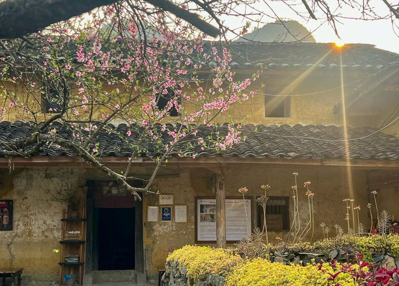 Selon les statistiques du Comité populaire du district de Dông Van, en ce début d’année 2025, le village compte 120 foyers, dont 45 exploitent des homestays. D’autres familles tiennent des restaurants, cafés et divers services touristiques. Durant les week-ends et les périodes de fêtes, le village accueille environ 700 visiteurs en hébergement, tandis que le nombre de touristes en excursion à la journée varie entre 250 et 350. Photo : Giang Trịnh. Selon les statistiques du Comité populaire du district de Dông Van, en ce début d’année 2025, le village compte 120 foyers, dont 45 exploitent des homestays. D’autres familles tiennent des restaurants, cafés et divers services touristiques. Durant les week-ends et les périodes de fêtes, le village accueille environ 700 visiteurs en hébergement, tandis que le nombre de touristes en excursion à la journée varie entre 250 et 350. Photo : Giang Trịnh.