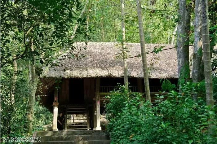 Autour de chaque maison, de nombreuses plantes médicinales sont cultivées. Photo: baoquocte Autour de chaque maison, de nombreuses plantes médicinales sont cultivées. Photo: baoquocte