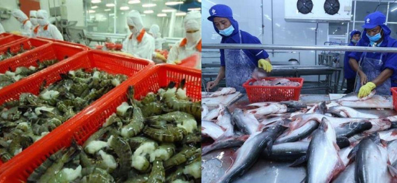Les produits tels que le pangasius et les crevettes, qui représentent une part importante des exportations vers le marché américain, sont fortement touchés. Les produits tels que le pangasius et les crevettes, qui représentent une part importante des exportations vers le marché américain, sont fortement touchés.