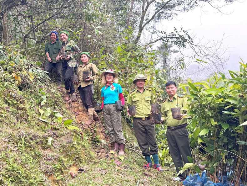 Les forêts nouvellement plantées seront entretenues et surveillées par Gaia pendant quatre ans. Photo : Gaia Les forêts nouvellement plantées seront entretenues et surveillées par Gaia pendant quatre ans. Photo : Gaia