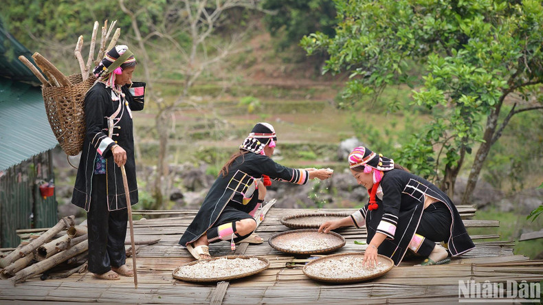Pa Pang fait encore partie des zones défavorisées de la commune de Nam Ban. Pa Pang fait encore partie des zones défavorisées de la commune de Nam Ban.