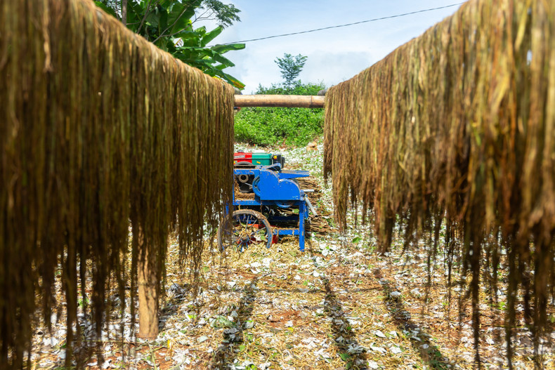 La machine à dénuder l’écorce de chanvre financée par le projet permet de raccourcir le temps de traitement. Photo : CARE. La machine à dénuder l’écorce de chanvre financée par le projet permet de raccourcir le temps de traitement. Photo : CARE.