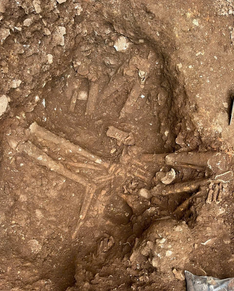 Après plus d’un mois de fouilles, les archéologues ont découvert de nombreux artefacts en pierre et en os. Photo : baonghean. Après plus d’un mois de fouilles, les archéologues ont découvert de nombreux artefacts en pierre et en os. Photo : baonghean.