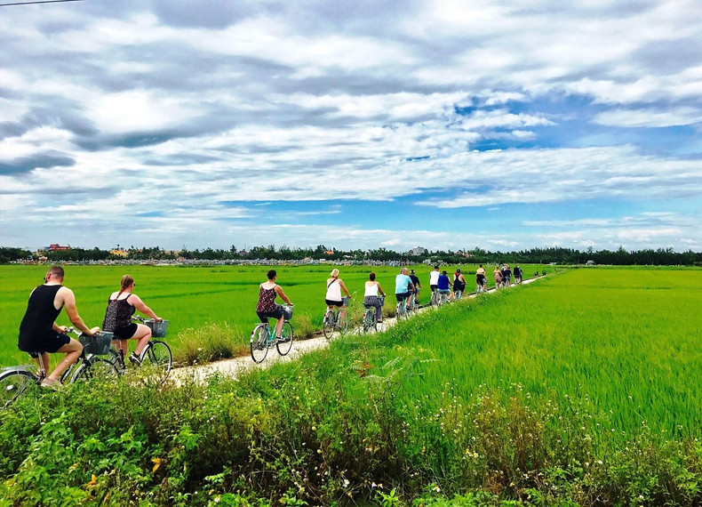 Faire du vélo sur les routes bordées de rizières paisibles l’après-midi constitue une expérience inoubliable pour les visiteurs. Photo : baoquangnam. Faire du vélo sur les routes bordées de rizières paisibles l’après-midi constitue une expérience inoubliable pour les visiteurs. Photo : baoquangnam.