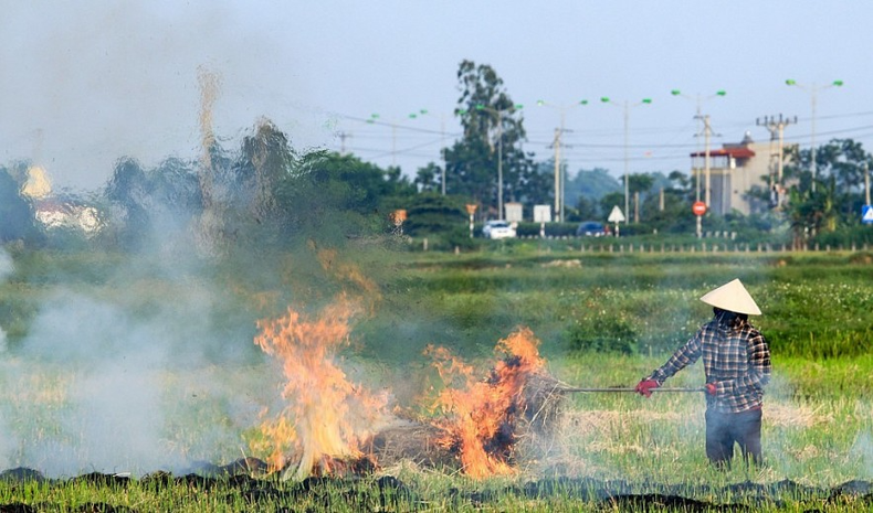 Le rapport de la BM propose de réduire les émissions de gaz à effet de serre pour atteindre un objectif de zéro émission nette d’ici 2050. Photo : tapchimoitruong. Le rapport de la BM propose de réduire les émissions de gaz à effet de serre pour atteindre un objectif de zéro émission nette d’ici 2050. Photo : tapchimoitruong.