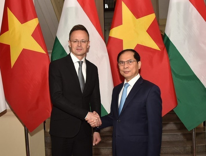 Le vice-PM et ministre des AE Bui Thanh Son (droite) et le ministre hongrois des AE et du Commerce extérieur Szijjártó Péter. Photo: VNA Le vice-PM et ministre des AE Bui Thanh Son (droite) et le ministre hongrois des AE et du Commerce extérieur Szijjártó Péter. Photo: VNA