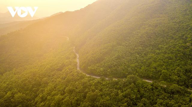 Le meilleur moment pour admirer les magnifiques paysages du pic de Ky Thuong est lorsque le soleil se cache progressivement derrière les montagnes, ce qui mélange la couleur rouge orange du soleil de l'après-midi avec le blanc des nuages et le vert des montagnes et des forêts. Cette gamme de couleurs se combine pour créer un tableau magnifique. Le meilleur moment pour admirer les magnifiques paysages du pic de Ky Thuong est lorsque le soleil se cache progressivement derrière les montagnes, ce qui mélange la couleur rouge orange du soleil de l'après-midi avec le blanc des nuages et le vert des montagnes et des forêts. Cette gamme de couleurs se combine pour créer un tableau magnifique.