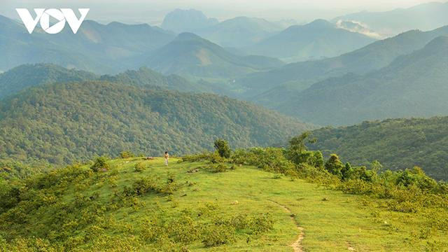 Située à environ 40 km à l'ouest de la ville d'Halong, la réserve naturelle de Dông Son Ky Thuong s’étend sur plus de 15 000 ha et couvre cinq communes. Située à environ 40 km à l'ouest de la ville d'Halong, la réserve naturelle de Dông Son Ky Thuong s’étend sur plus de 15 000 ha et couvre cinq communes.