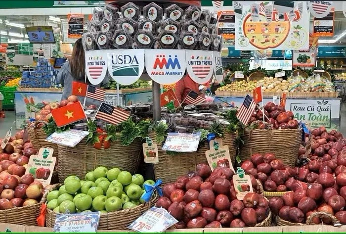 En 2024, la pomme s’est imposée comme le fruit le plus importé au Vietnam, avec un chiffre d’affaires de 275,3 millions de dollars, soit une augmentation de 18 % par rapport à 2023. Les importations de pommes américaines, quant à elles, ont bondi de 58,3 %. Photo d’illustration.