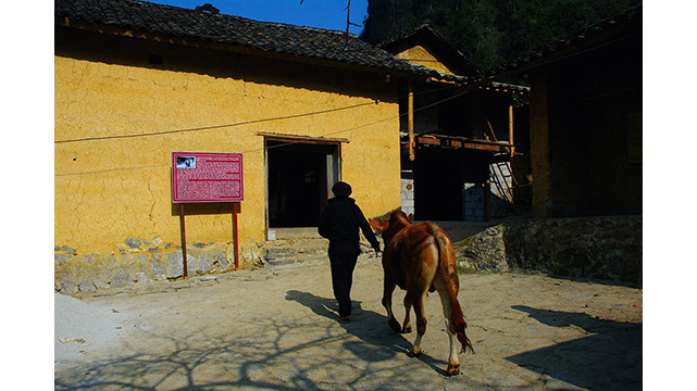 Un après-midi d'été à la « Maison de Pao » ảnh 2 Un après-midi d'été à la « Maison de Pao » ảnh 2