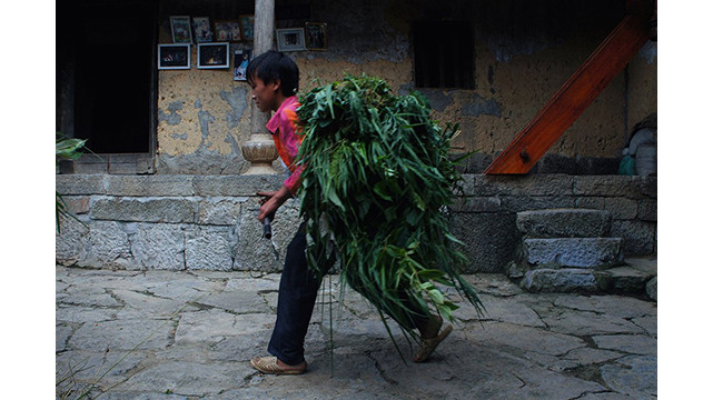 Un après-midi d'été à la « Maison de Pao » ảnh 10 Un après-midi d'été à la « Maison de Pao » ảnh 10
