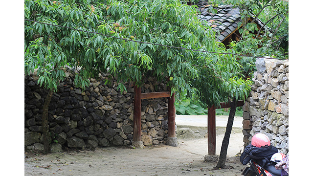 Un après-midi d'été à la « Maison de Pao » ảnh 4 Un après-midi d'été à la « Maison de Pao » ảnh 4