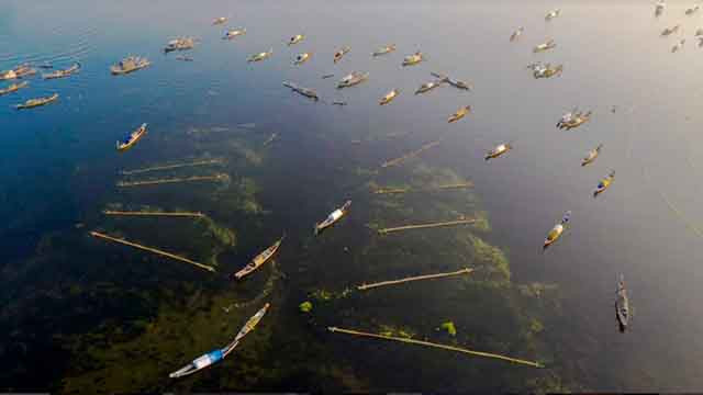 Le marais de Quang Loi, destination incontournable de la lagune de Tam Giang ảnh 3