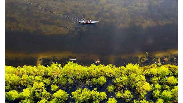 Le marais de Quang Loi, destination incontournable de la lagune de Tam Giang ảnh 9
