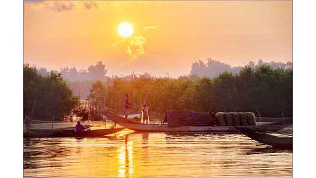 Le marais de Quang Loi, destination incontournable de la lagune de Tam Giang ảnh 6