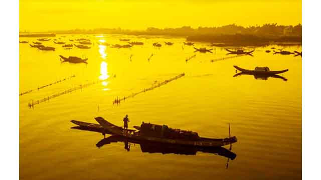 Le marais de Quang Loi, destination incontournable de la lagune de Tam Giang ảnh 7