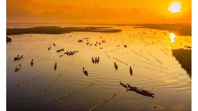 Le marais de Quang Loi, destination incontournable de la lagune de Tam Giang ảnh 2