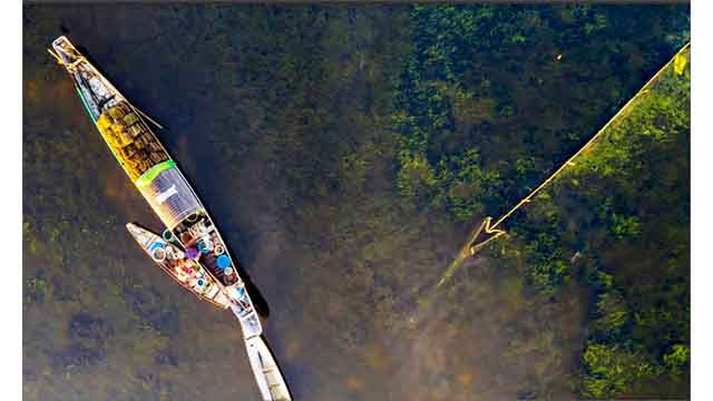 Le marais de Quang Loi, destination incontournable de la lagune de Tam Giang ảnh 5