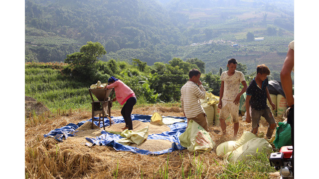 Les paysages spectaculaires des rizières en terrasse d’Y Ty ảnh 8