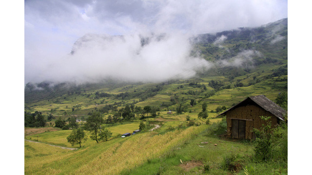 Les paysages spectaculaires des rizières en terrasse d’Y Ty ảnh 4