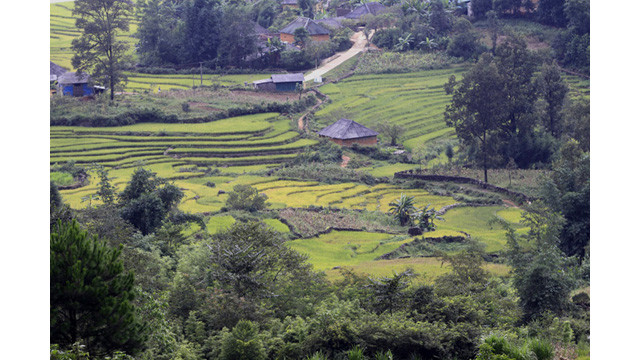 Les paysages spectaculaires des rizières en terrasse d’Y Ty ảnh 6